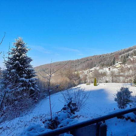 Schwarzwald Pur Leilighet Sasbachwalden Eksteriør bilde