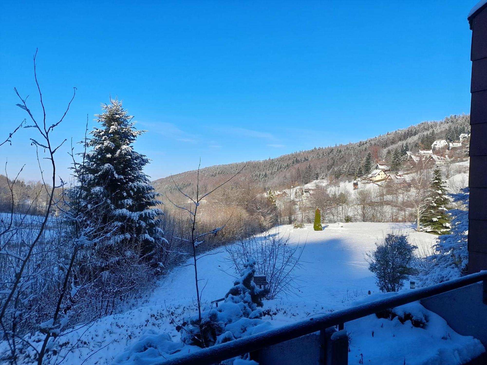 Schwarzwald Pur Leilighet Sasbachwalden Eksteriør bilde
