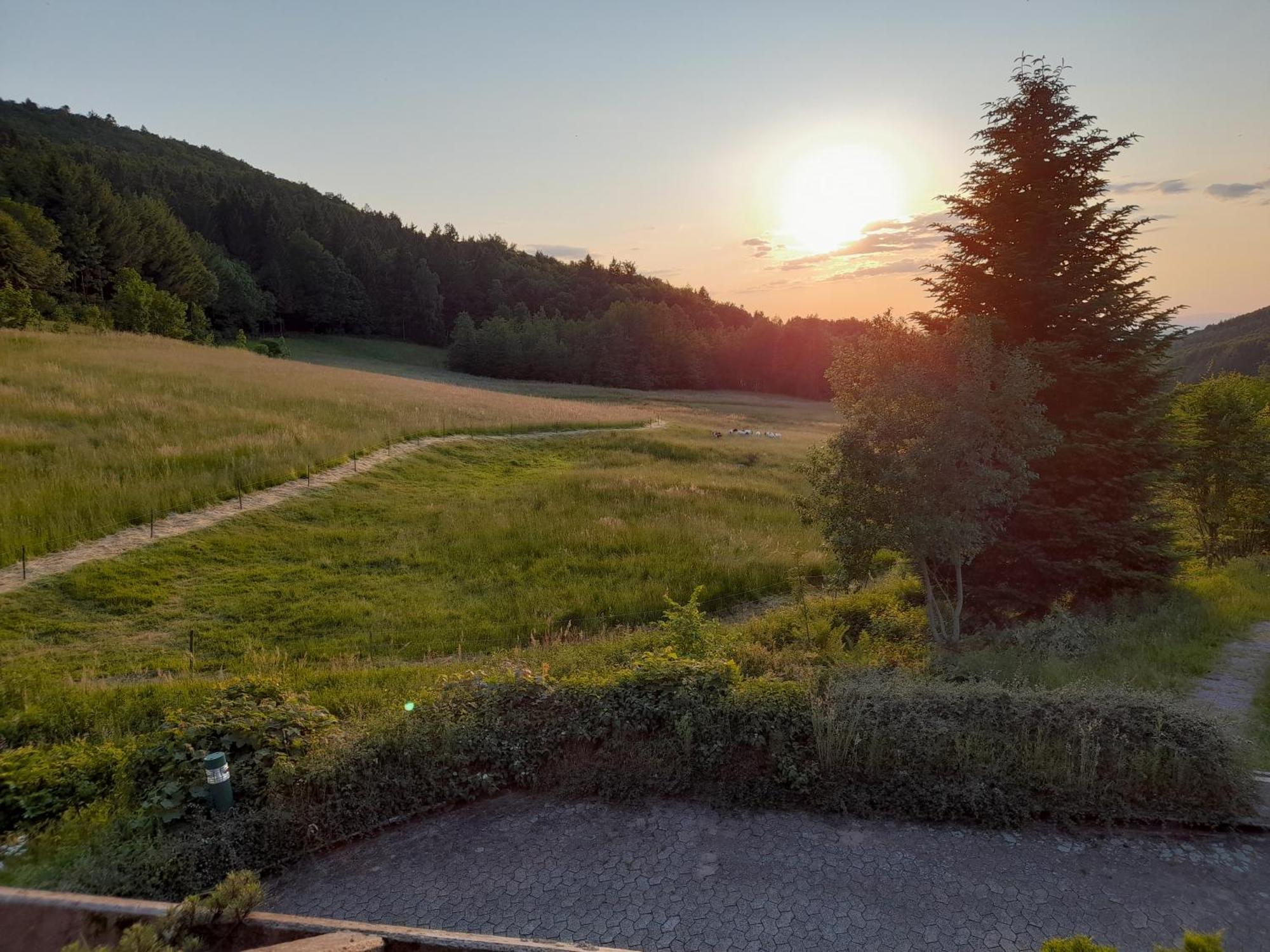Schwarzwald Pur Leilighet Sasbachwalden Eksteriør bilde